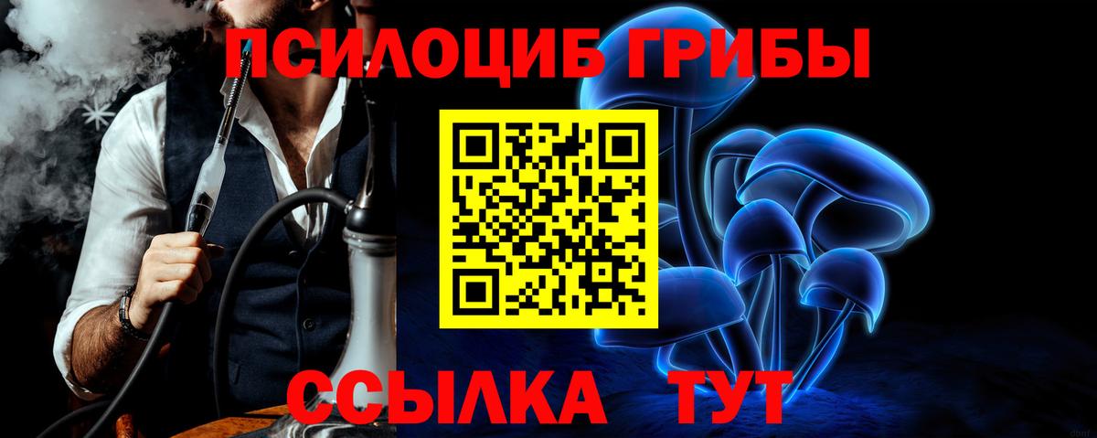 Галлюциногенные грибы мицелий  Вход с VPN  Орехово-Зуево 